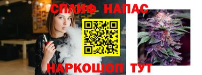 винт Тара
